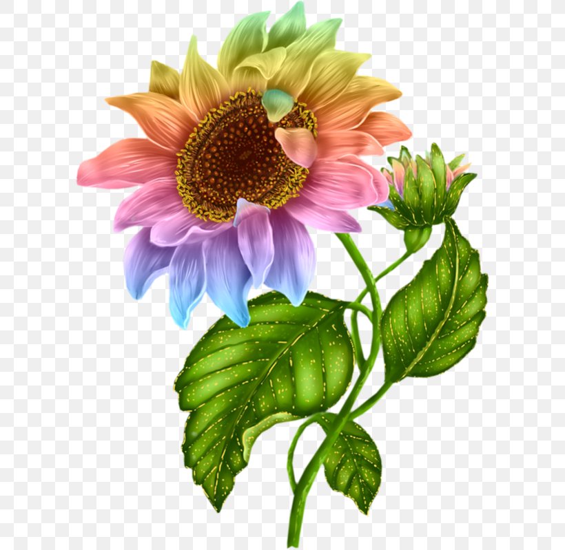 Flower Clip Art, PNG, 600x799px, Flower, Blog, Cut Flowers, Daisy Family, Floral Design Download Free