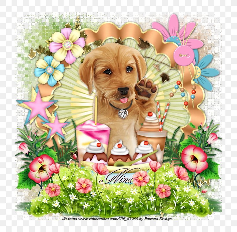 Golden Retriever Puppy Dog Breed Companion Dog Sporting Group, PNG, 800x800px, Golden Retriever, Adult, Carnivoran, Child, Companion Dog Download Free
