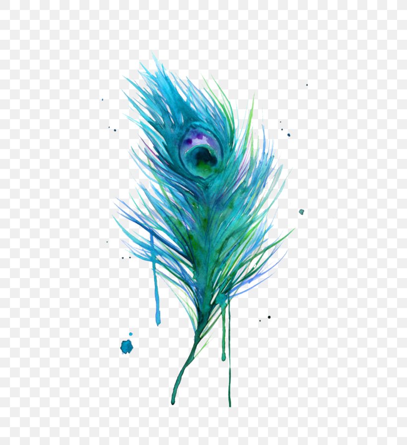 Asiatic Peafowl Feather Bird Clip Art, PNG, 700x896px, Bird, Aqua, Art, Asiatic Peafowl, Color Download Free