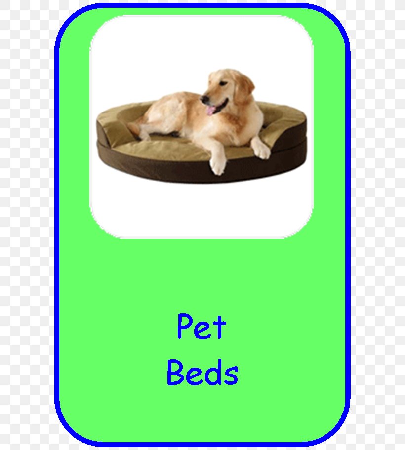 Dog Breed Puppy Golden Retriever Companion Dog, PNG, 609x912px, Dog Breed, Breed, Carnivoran, Cat, Collar Download Free