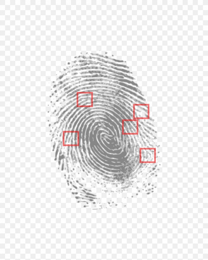 Fingerprint Crime Scene Biometrics Detective, PNG, 1080x1350px, Fingerprint, Biometrics, Crime, Crime Scene, Detective Download Free