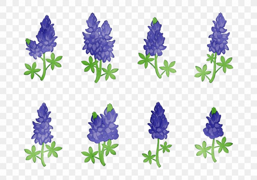 Bluebonnet Purple Lavender Cut Flowers Tree, PNG, 1721x1205px, Bluebonnet, Cut Flowers, Delphinium, English Lavender, Flower Download Free