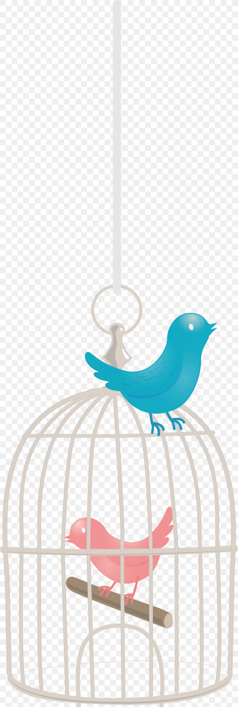 Bird Cage, PNG, 1010x2999px, Bird Cage, Beak, Cage Download Free