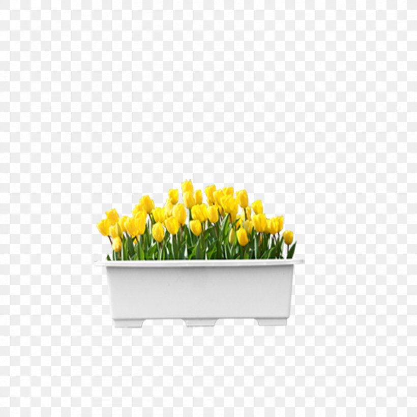 Flower Tulip Computer File, PNG, 1701x1701px, Flower, Drawing, Floral Design, Floristry, Flowering Plant Download Free