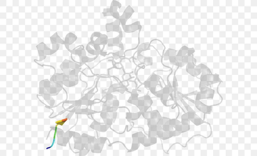 Line Pattern, PNG, 603x500px, White, Flower, Petal, Tree Download Free