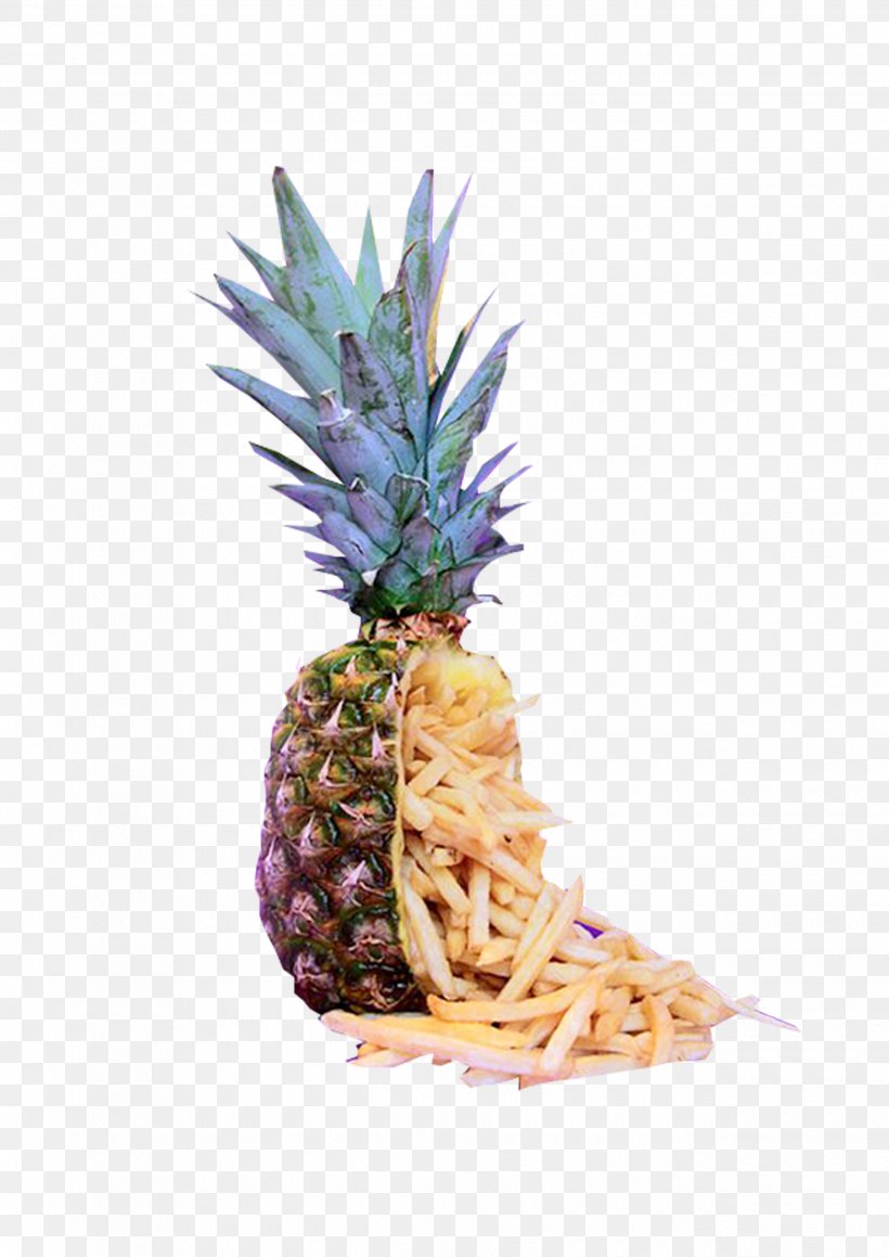 Pineapple Download Icon, PNG, 2480x3508px, Pineapple, Ananas, Bromeliaceae, Creativity, Designer Download Free