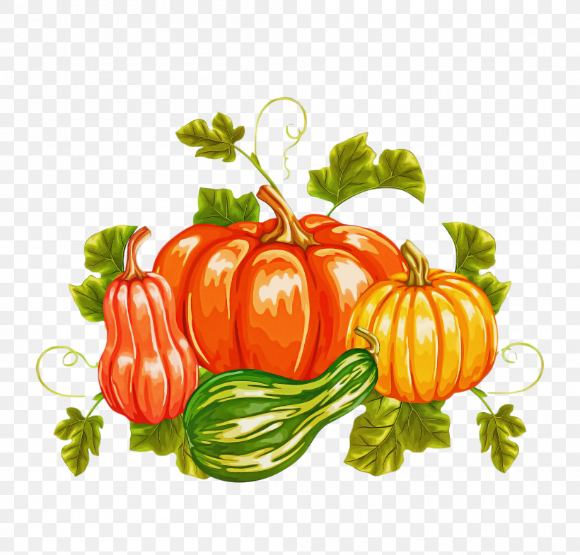 Thanksgiving Autumn Harvest, PNG, 2000x1916px, Thanksgiving, Autumn, Bush Tomato, Cucumber, Gourd Download Free