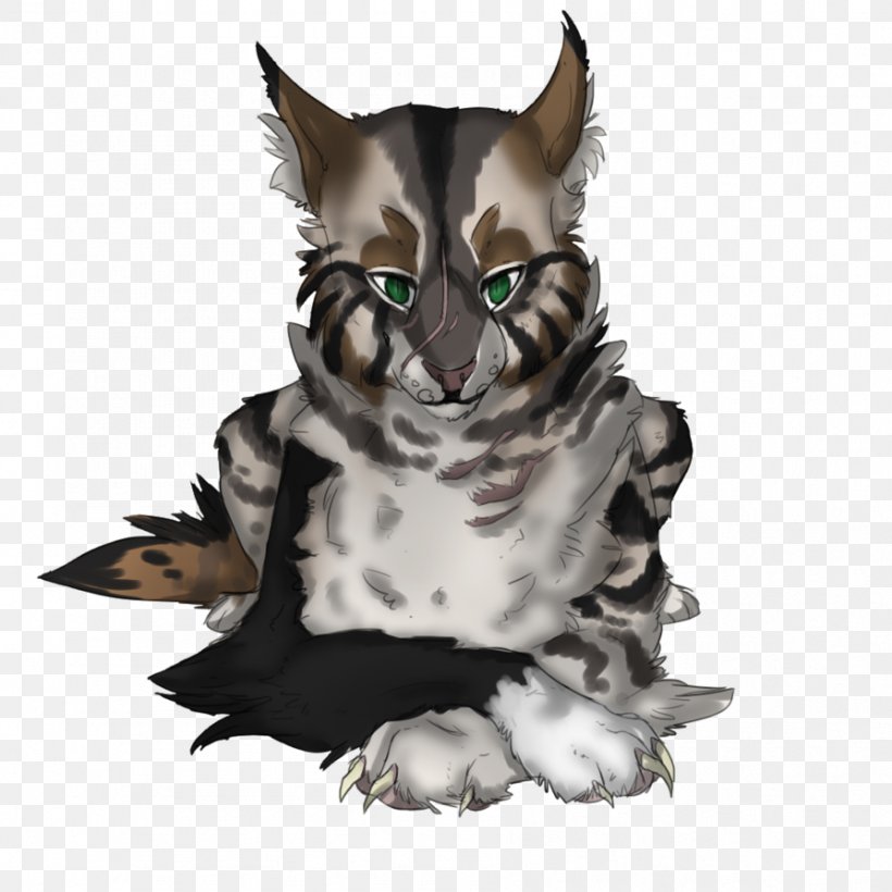 Whiskers Cat Owl Fauna Beak, PNG, 894x894px, Whiskers, Beak, Bird, Bird Of Prey, Carnivoran Download Free