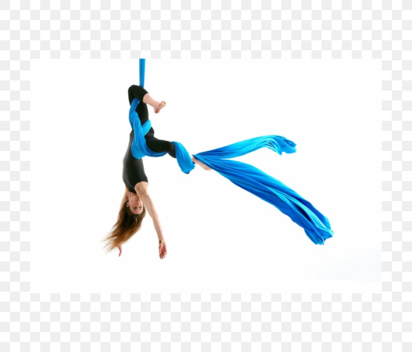 Aerial Silk Acrobatics En L'air Academy Of Dance And Circus Aerial Hoop, PNG, 700x700px, Aerial Silk, Acro Dance, Acrobatics, Aerial Dance, Aerial Hoop Download Free