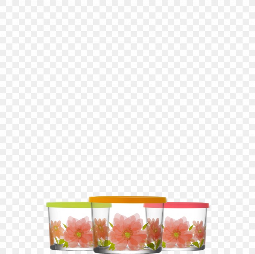 Flowerpot Rectangle, PNG, 1600x1600px, Flowerpot, Flower, Petal, Rectangle Download Free