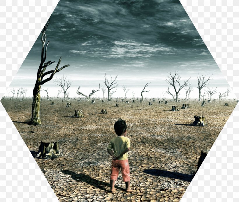 Global Warming Acid Rain Climate Change Human Impact On The Environment, PNG, 1024x867px, Global Warming, Acid, Acid Rain, Air Pollution, Climate Download Free