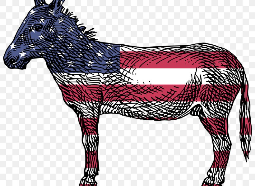 Reasons To Vote For Democrats: A Comprehensive Guide United States Democratic Party Voting Republican Party, PNG, 800x600px, United States, Ballot, Ballot Box, Bridle, Democracy Download Free