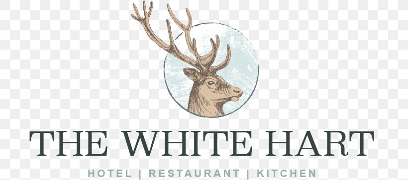 Reindeer Elk Logo Hotel Restaurant, PNG, 800x363px, Reindeer, Animal Figure, Antler, Brand, Deer Download Free