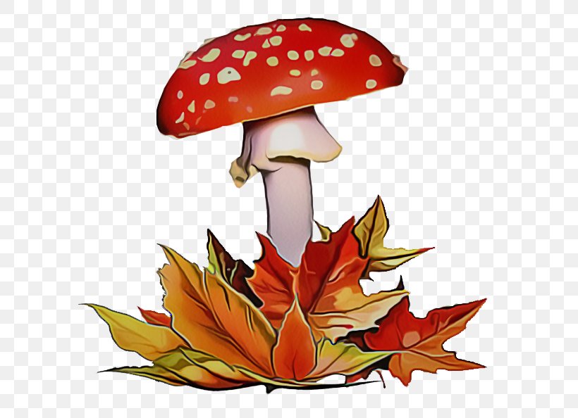 Agaric Mushroom Leaf Agaricomycetes Autumn, PNG, 614x594px, Agaric, Agaricomycetes, Autumn, Fungus, Leaf Download Free
