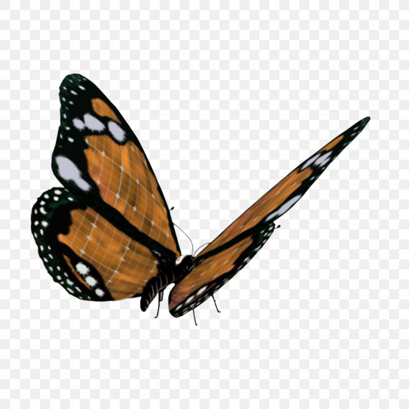 Monarch Butterfly Clip Art, PNG, 1280x1280px, Monarch Butterfly, Arthropod, Brush Footed Butterfly, Butterflies And Moths, Butterfly Download Free