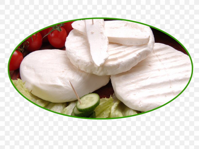 Beyaz Peynir Sheep Milk Cheese Dairy Products, PNG, 1024x768px, Beyaz Peynir, Cheese, Cheese Curd, Cream, Curd Download Free