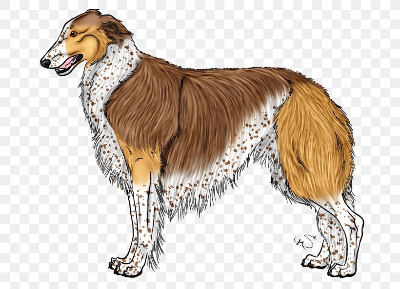 Borzoi Silken Windhound Saluki Longdog Dog Breed, PNG, 724x594px, Borzoi, Afghan Hound, Breed, Carnivoran, Collie Download Free