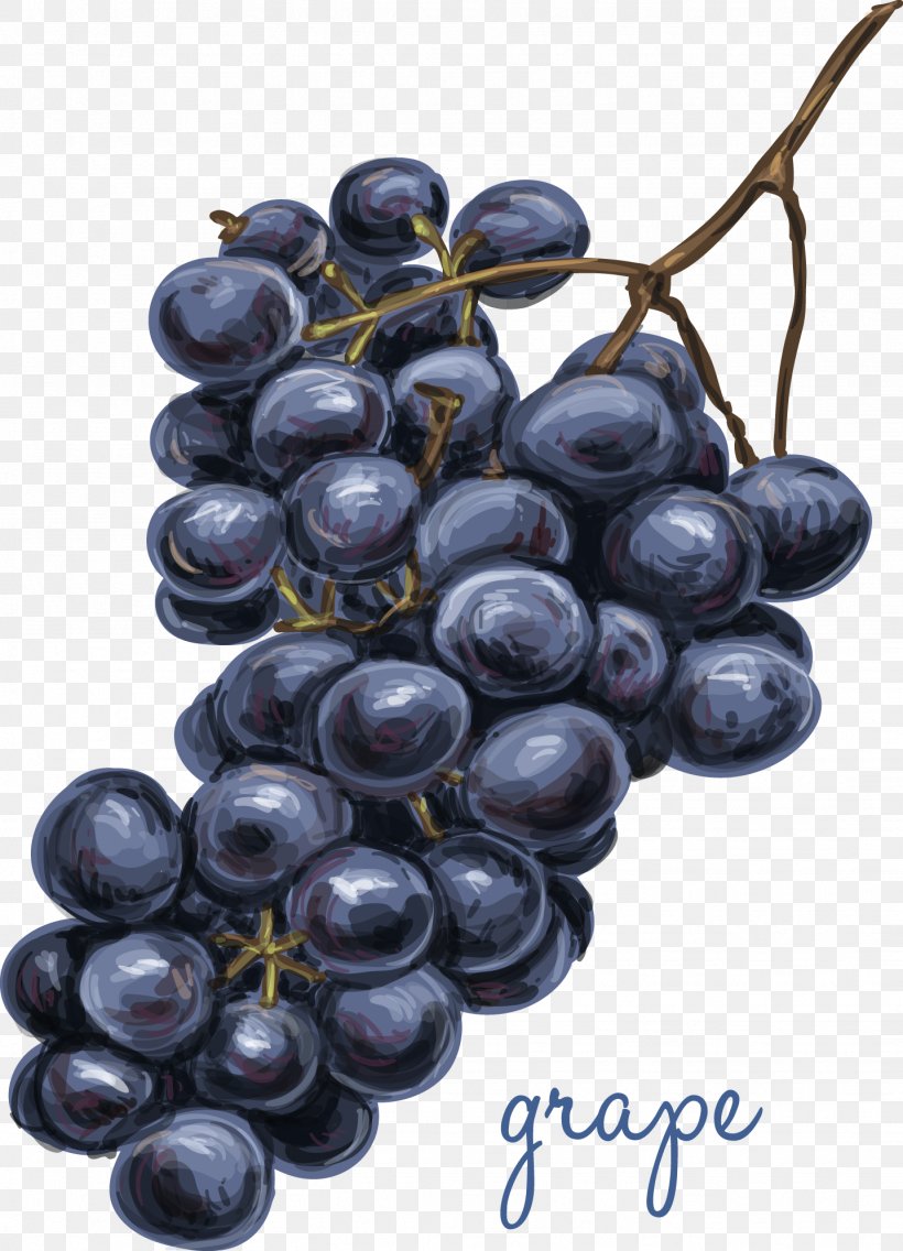 Juice Drawing Grapefruit, PNG, 1436x1991px, Juice, Apple, Berry, Bilberry, Blueberry Download Free