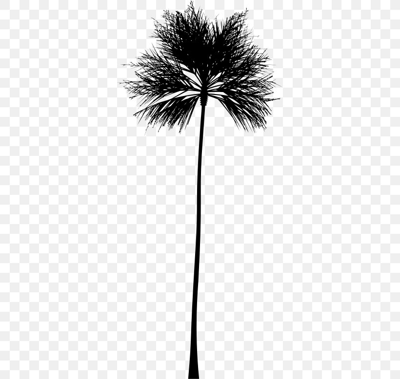 Arecaceae Silhouette Clip Art, PNG, 338x778px, Arecaceae, Arecales, Asian Palmyra Palm, Black And White, Borassus Flabellifer Download Free