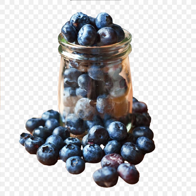 Blueberry Purple Bilberry, PNG, 1417x1417px, Blueberry, Berry, Bilberry, Dots Per Inch, Food Download Free