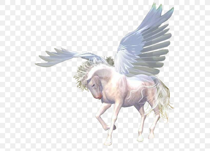 Horse Blog Unicorn Marabout, PNG, 589x590px, Horse, Angel, Animaatio, Avatar, Bird Download Free