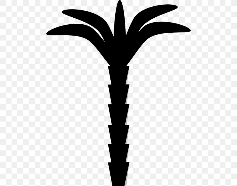 Leaf Clip Art Plant Stem Line Neck, PNG, 500x643px, Leaf, Arecales, Bromeliaceae, Neck, Palm Tree Download Free