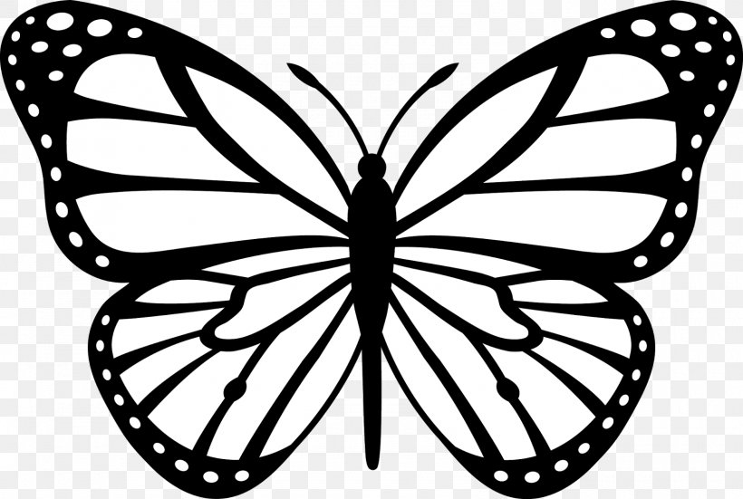 Monarch Butterfly Insect Black And White Clip Art, PNG, 1600x1077px,  Butterfly, Animal, Artwork, Black And White,