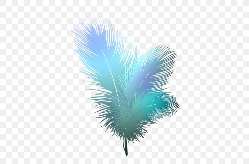 Bird Feather Clip Art, PNG, 550x539px, Bird, Color, Drawing, Feather, Peafowl Download Free