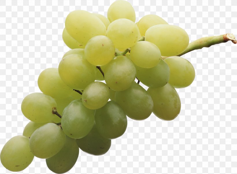 Common Grape Vine Sultana Juice Seedless Fruit, PNG, 2804x2063px, Pinot Meunier, Berry, Common Grape Vine, Flame Seedless, Flavor Download Free