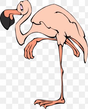 Flamingo - Flamingo Blog Clip Art PNG