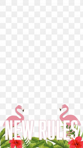 Dua Lipa - Petal Pink M Leaf Font PNG