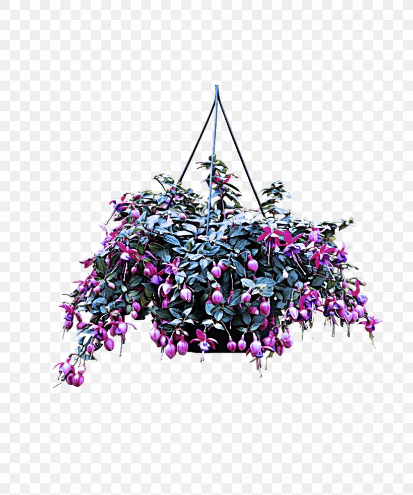 Purple Violet Plant Flower Tree, PNG, 1000x1200px, Purple, Flower, Plant, Tree, Violet Download Free