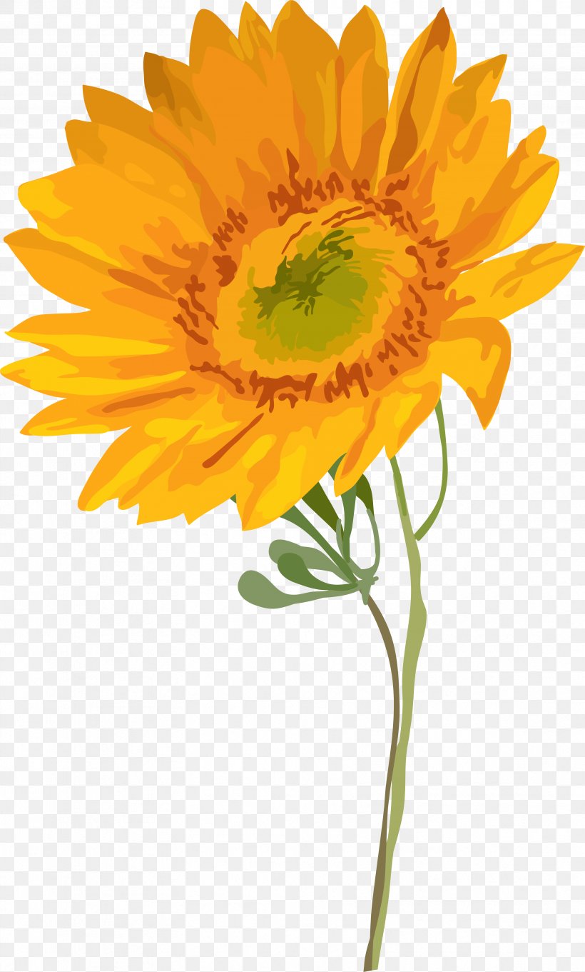 Watercolor Painting Common Sunflower, PNG, 3338x5543px, Watercolor Painting, Calendula, Common Sunflower, Cut Flowers, Daisy Family Download Free