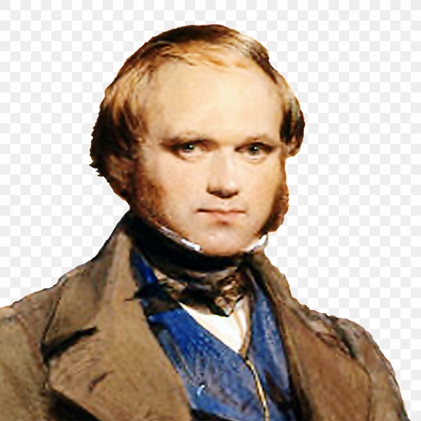 Charles Darwin Creation Galápagos Islands Evolution Naturalist, PNG, 1200x1200px, Charles Darwin, Chin, Common Descent, Creation, Darwin Day Download Free
