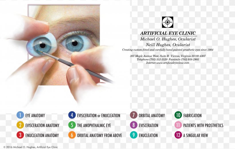 Human Eye Ocular Prosthesis Ocularist Eye Care Professional, PNG, 3900x2479px, Watercolor, Cartoon, Flower, Frame, Heart Download Free