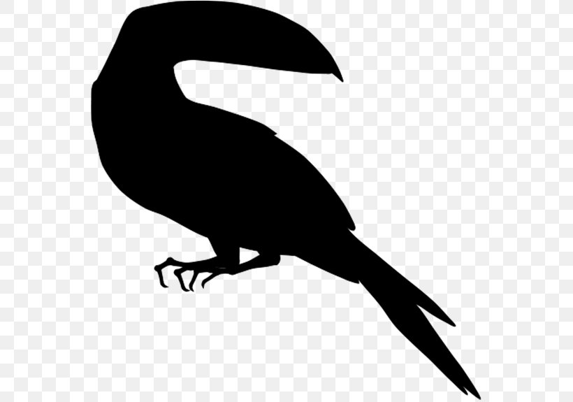Beak Clip Art Fauna Silhouette, PNG, 559x575px, Beak, Bird, Claw, Coloring Book, Crow Download Free