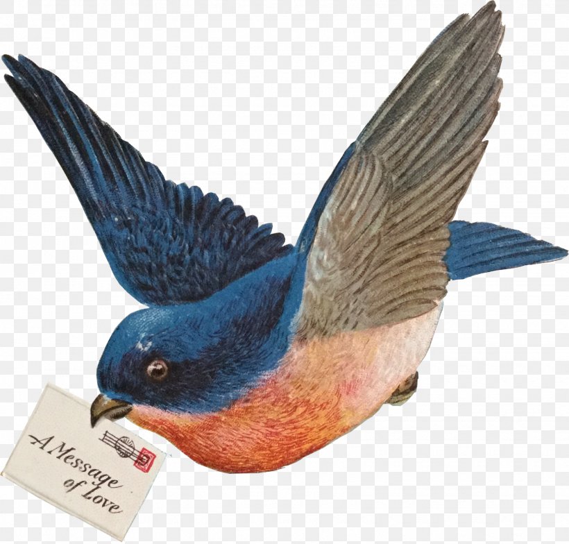 Bird Beak Art Sales Garage Sale, PNG, 1630x1560px, Bird, Antique, Art, Beak, Bluebird Download Free
