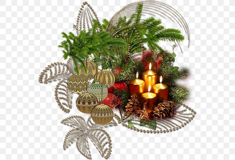 Candle Christmas Tree Clip Art, PNG, 556x561px, Candle, Advent, Blog, Christmas, Christmas Decoration Download Free