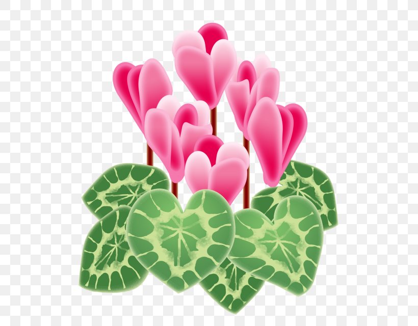 Cyclamen Persicum Floral Design New Year Card Art, PNG, 640x640px, Cyclamen Persicum, African Violets, Art, Cut Flowers, Cyclamen Download Free