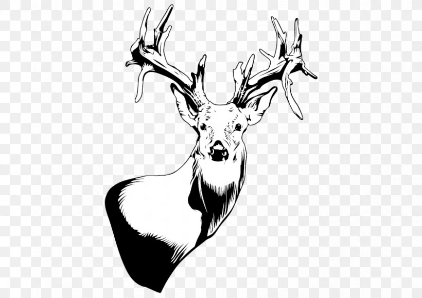 Reindeer Black And White, PNG, 842x596px, Reindeer, Antler, Art, Black And White, Deer Download Free