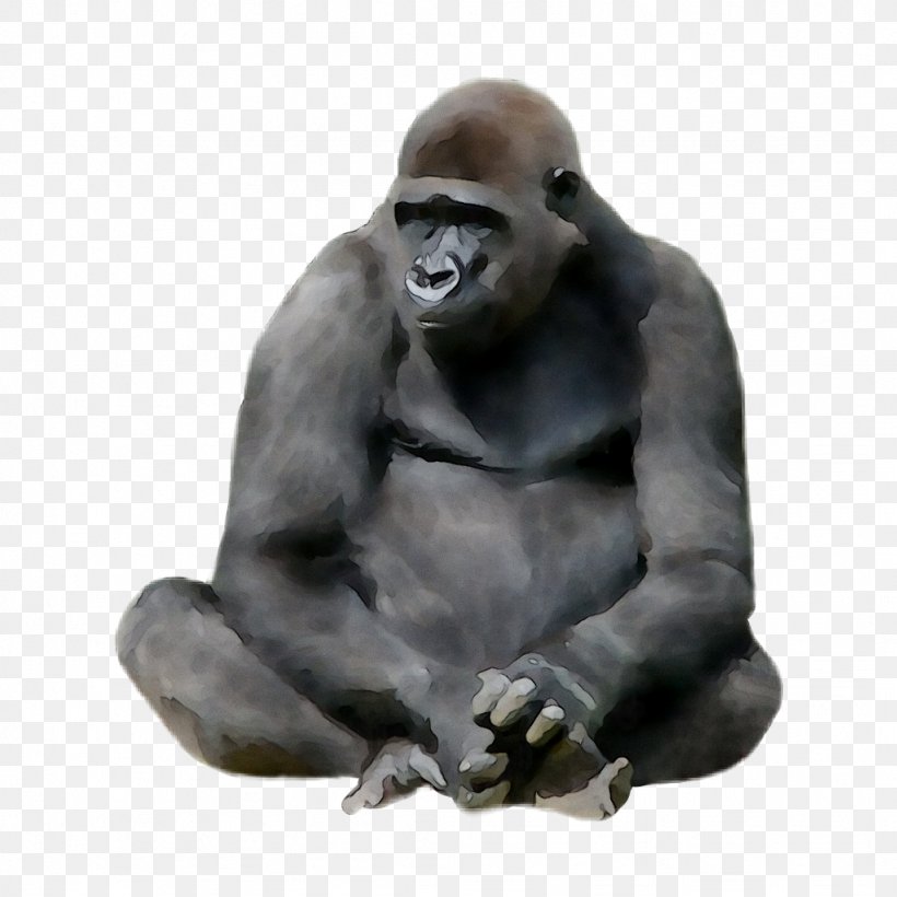 Western Gorilla Monkey Animal Ape King Kong, PNG, 1024x1024px, Western Gorilla, Animal, Ape, Art, Chimpanzee Download Free