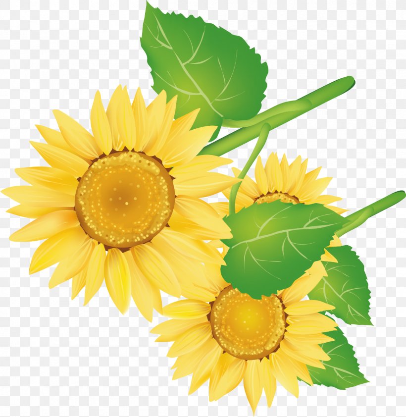 Common Sunflower Decorative Arts, PNG, 1251x1286px, Common Sunflower, Artworks, Cut Flowers, Daisy Family, Decorative Arts Download Free
