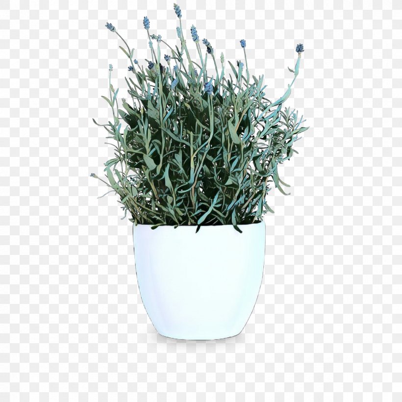 Herb, PNG, 1200x1200px, Herb, English Lavender, Flower, Flowering Plant, Flowerpot Download Free