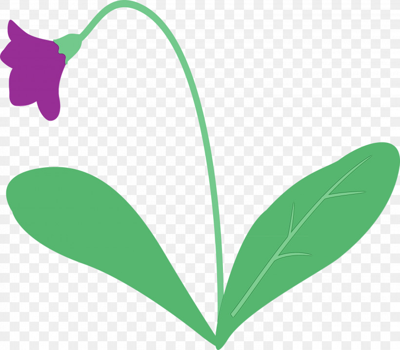 Leaf Plant Stem Flower Petal Green, PNG, 3000x2628px, Violet Flower, Biology, Flora, Flower, Green Download Free