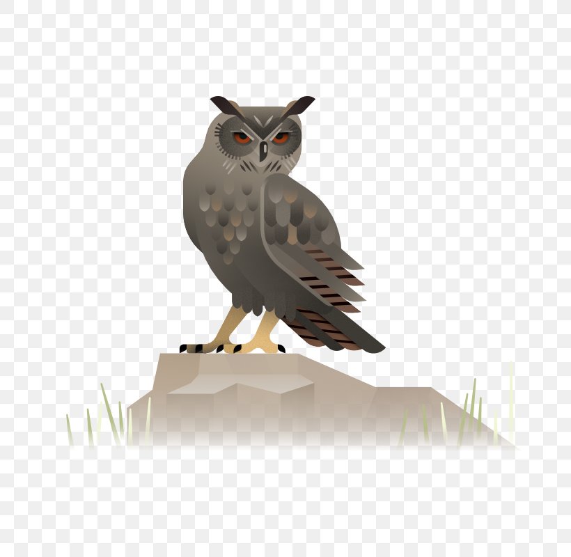 Owl, PNG, 800x800px, Owl, Art, Beak, Bird, Bird Of Prey Download Free