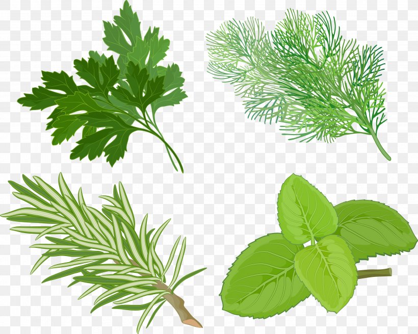 Peppermint Herb Basil Spice Clip Art, PNG, 3218x2573px, Peppermint, Alternative Medicine, Basil, Bay Leaf, Common Sage Download Free