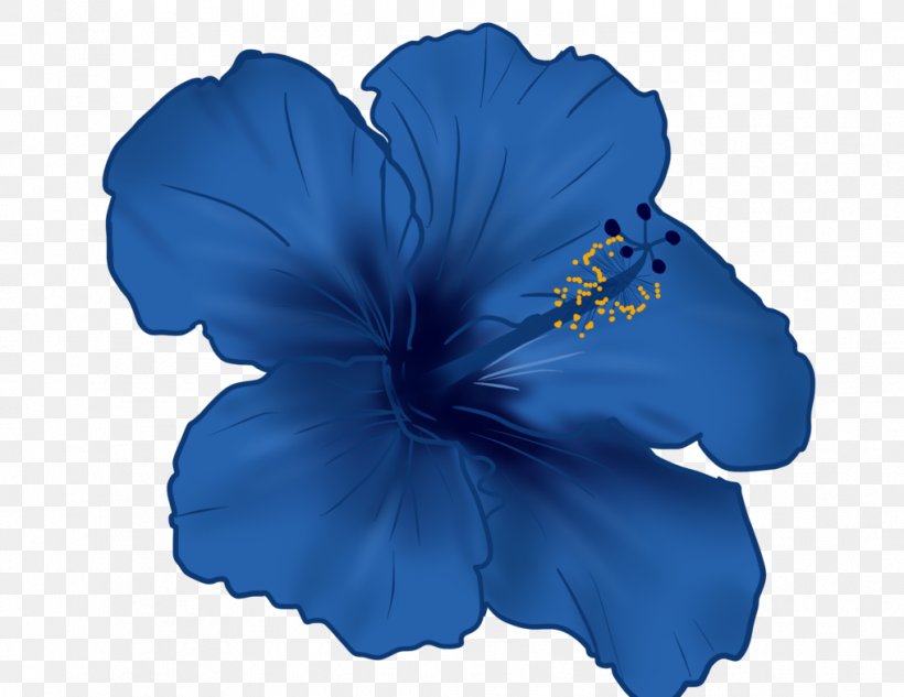 Shoeblackplant Flower Roselle Mallows Blue Hibiscus, PNG, 1017x786px, Shoeblackplant, Blue, Blue Hibiscus, Cobalt Blue, Common Hibiscus Download Free