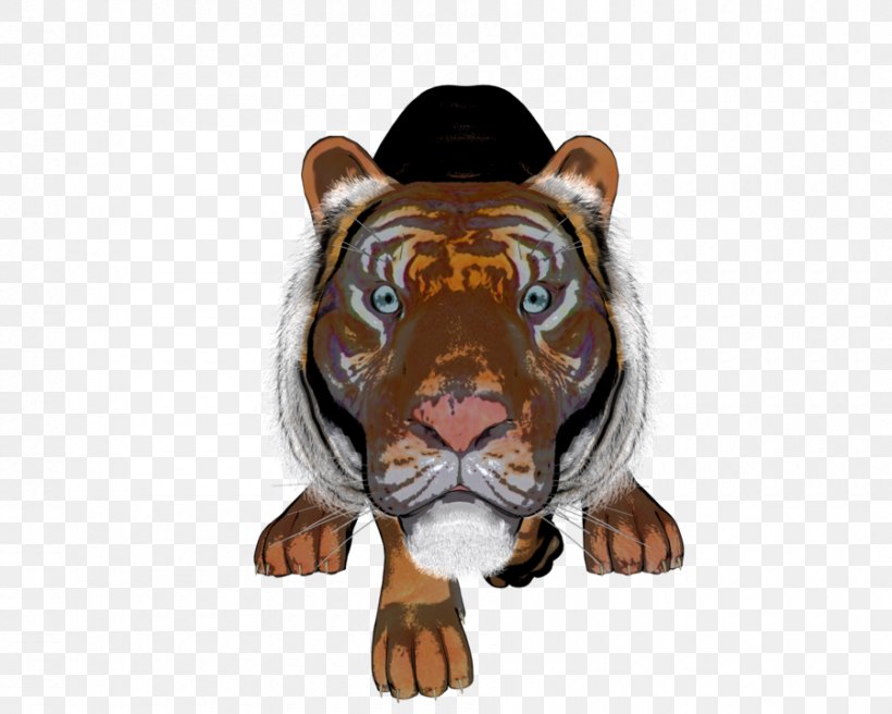 Tiger Big Cat Snout, PNG, 900x720px, Tiger, Big Cat, Big Cats, Carnivoran, Cat Download Free