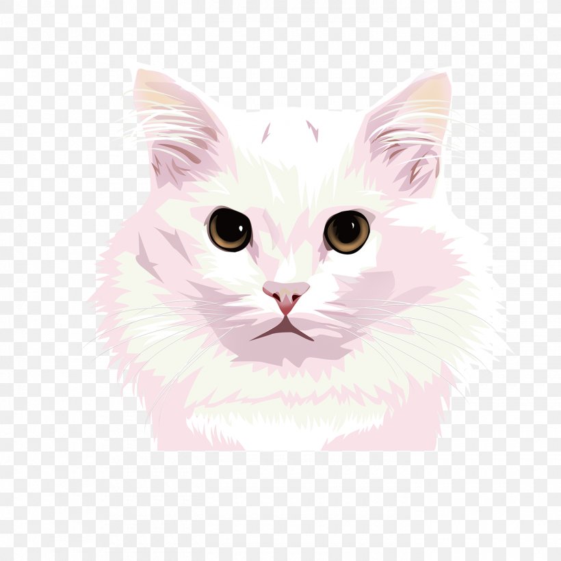 Turkish Angora Burmilla Turkish Van Whiskers Snout, PNG, 1400x1400px, Turkish Angora, American Curl, Angora Wool, Burmilla, Cat Download Free