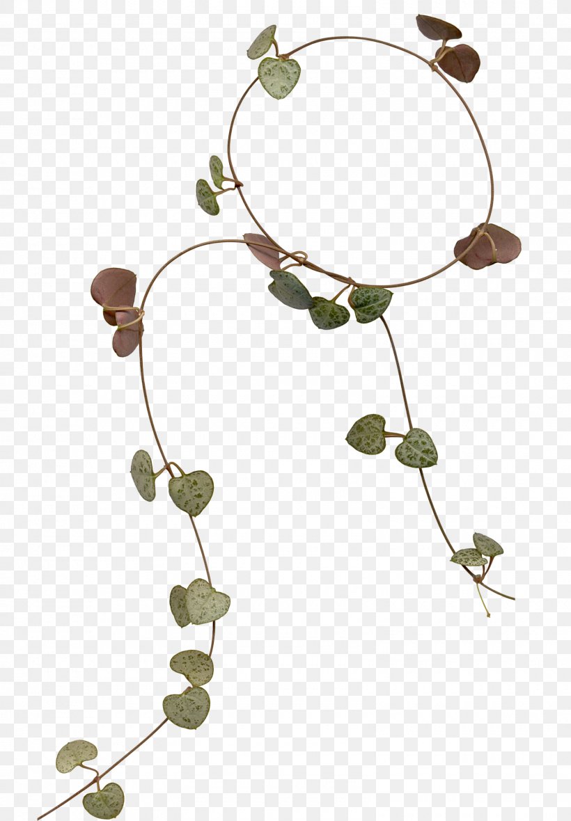 Clip Art, PNG, 1600x2304px, Leaf, Body Jewelry, Branch, Fashion Accessory, Jewellery Download Free